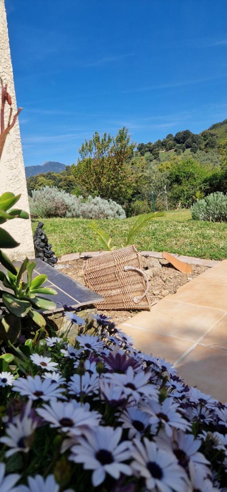 Mare E Monti Chez Thomas Et Magali Bed & Breakfast Vico Exterior foto