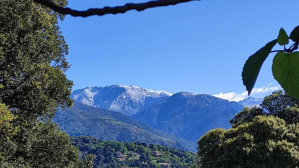 Mare E Monti Chez Thomas Et Magali Bed & Breakfast Vico Exterior foto